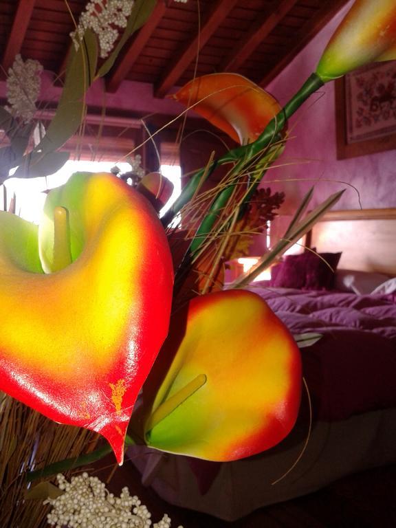 Casa Rural Amparo Mogarraz Kültér fotó