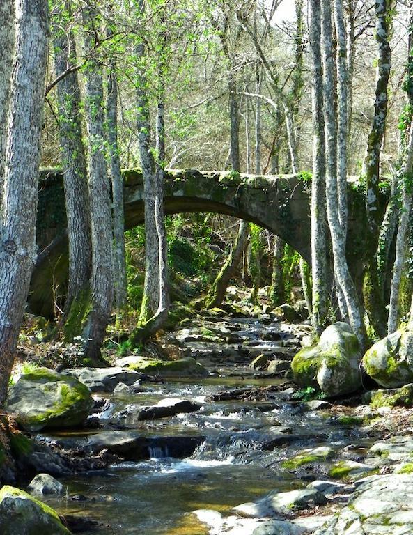 Casa Rural Amparo Mogarraz Szoba fotó