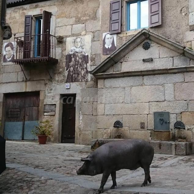 Casa Rural Amparo Mogarraz Kültér fotó