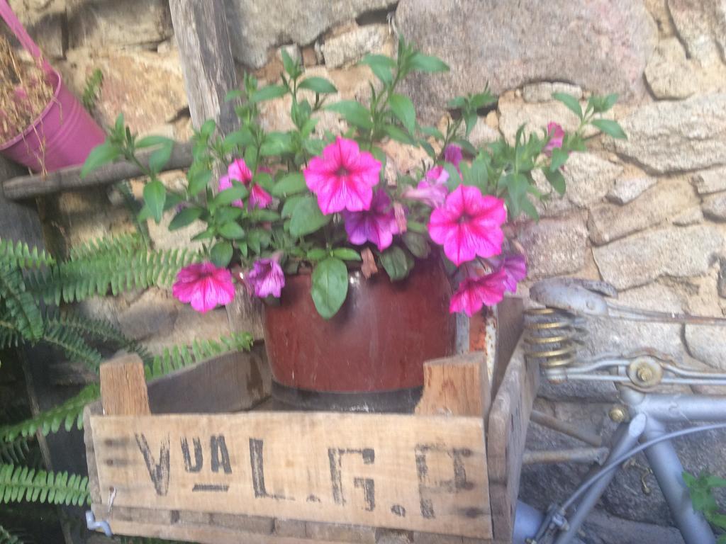 Casa Rural Amparo Mogarraz Kültér fotó