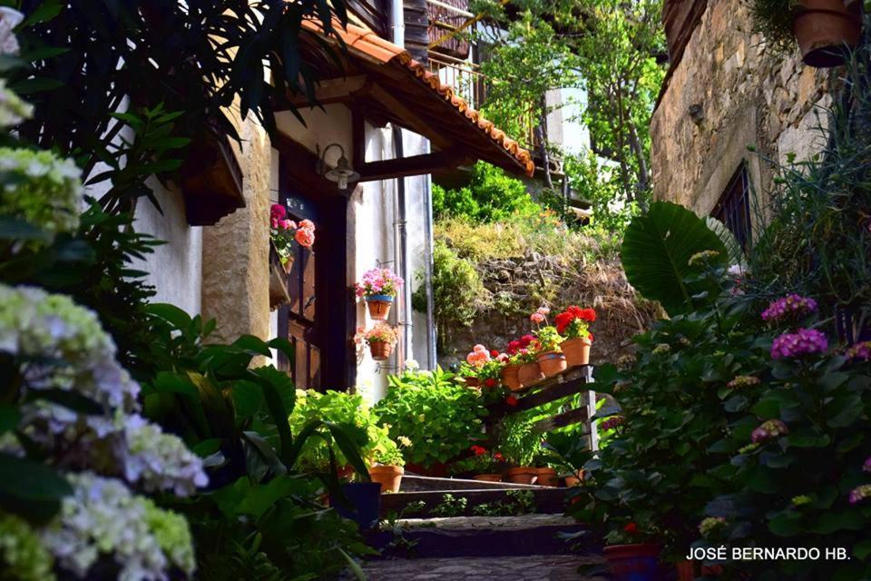 Casa Rural Amparo Mogarraz Kültér fotó